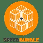 Logo application Speed Bundle Shopify e-commerce