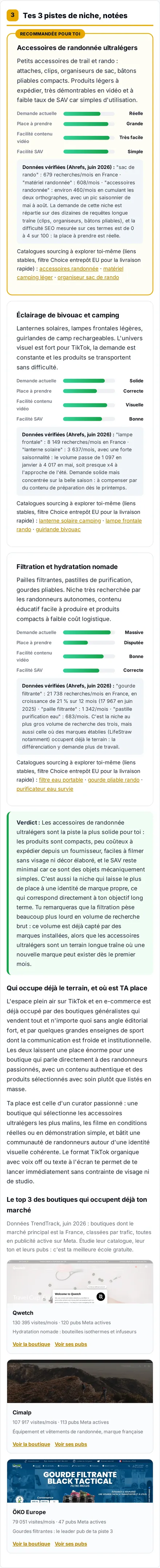 Aperçu réel : tes 3 pistes de niche notées par les données