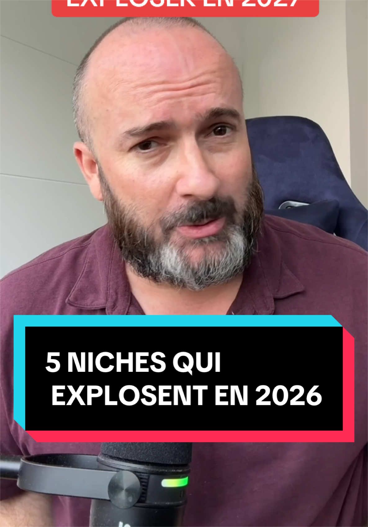 Les 5 niches qui explosent en 2027
